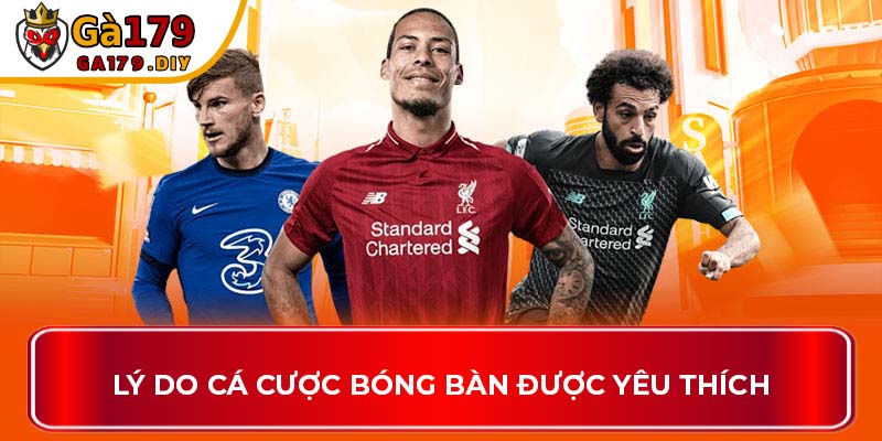 Lý do cá cược bóng bàn được yêu thích