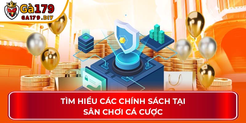 Tìm hiểu các chính sách tại sân chơi cá cược