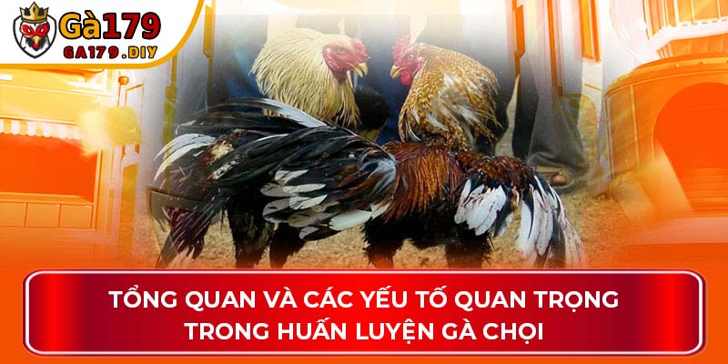 Tổng quan và các yếu tố quan trọng khi huấn luyện