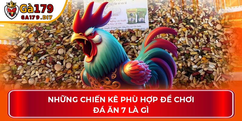Những chiến kê phù hợp để chơi đá ăn 7 là gì