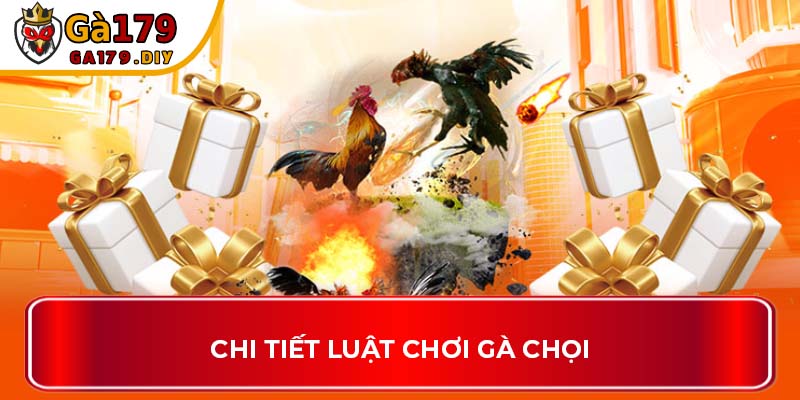 Chi tiết luật chơi gà chọi