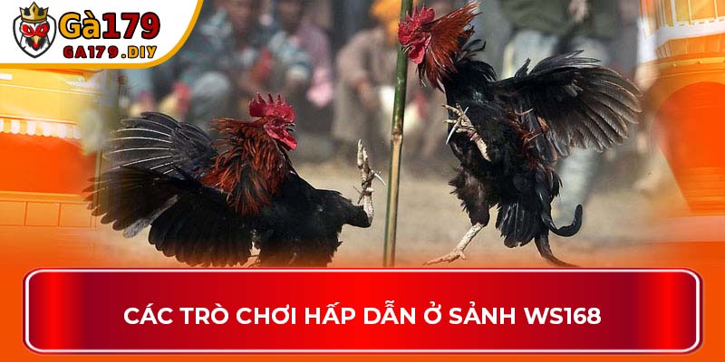 Các trò chơi hấp dẫn ở sảnh WS168