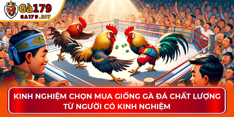Kinh nghiệm chọn mua giống gà chất lượng từ người có kinh nghiệm