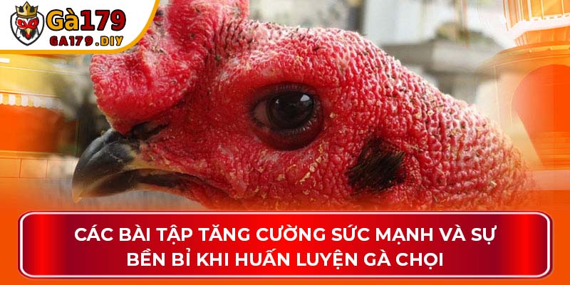 Các bài tập tăng cường sức mạnh và sự bền bỉ khi huấn luyện